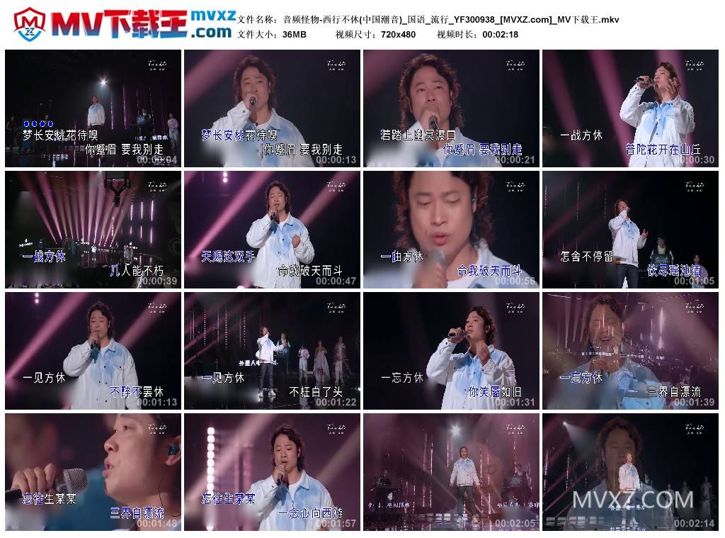 音频怪物-西行不休(中国潮音)_国语_流行_YF300938